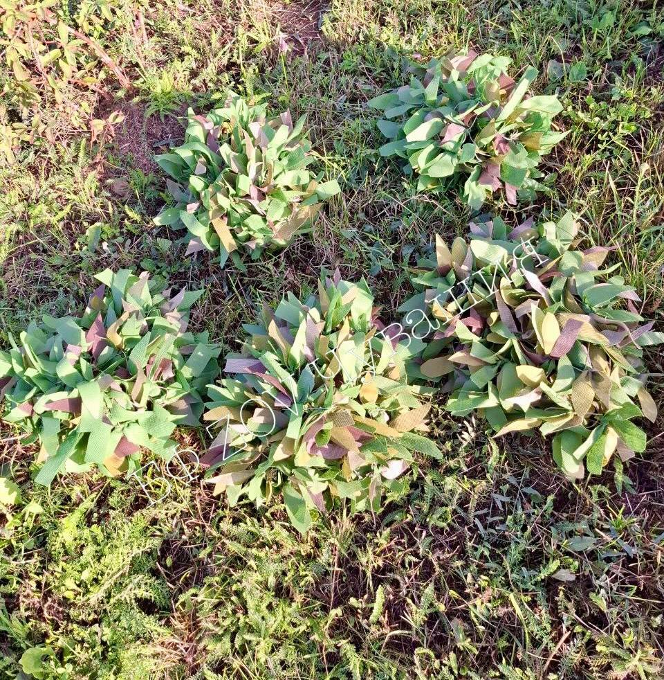 Вместе до Победы