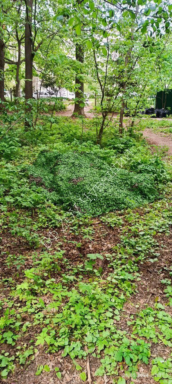 Сети ЗОВ Чувашия: