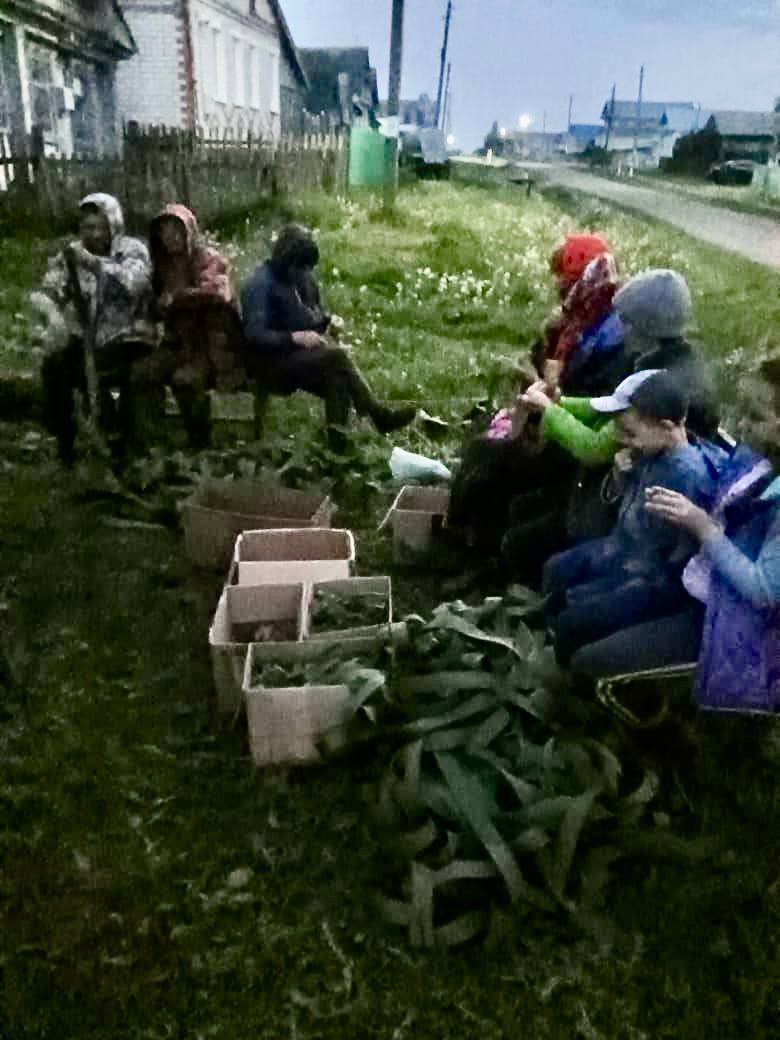 Аликовский МО: